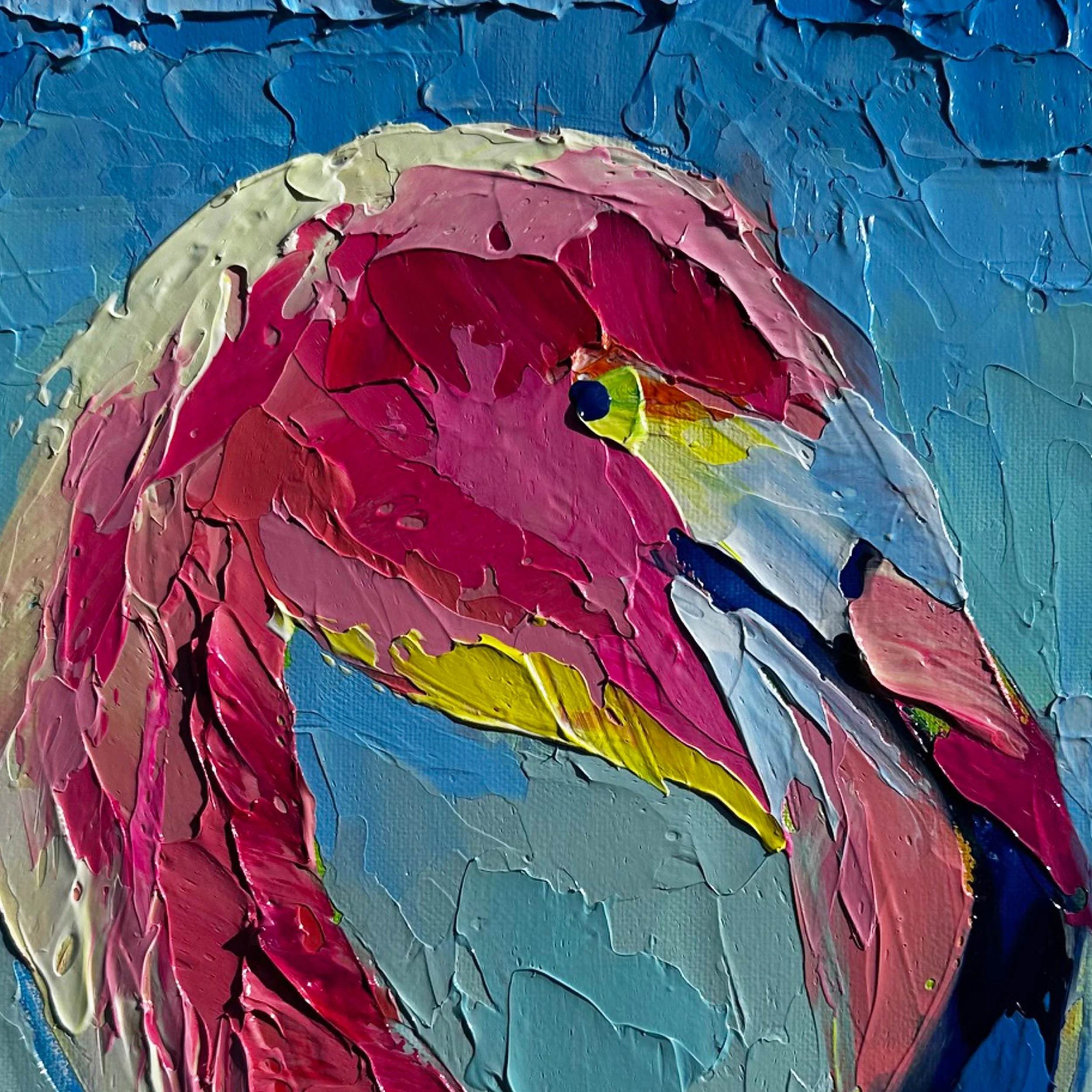 Flamingo Reflections 2